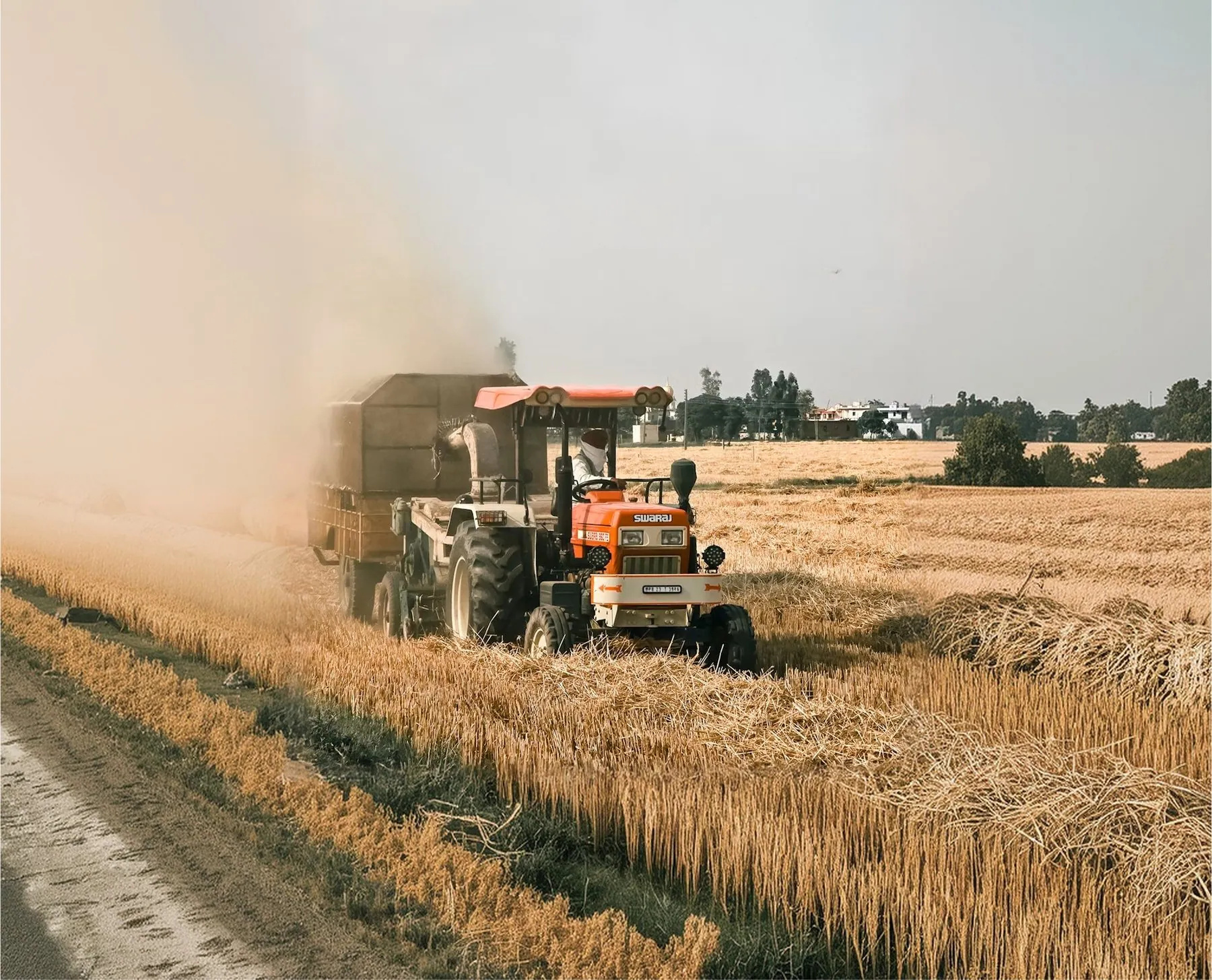 A combine harvester raising dust across a wheat field