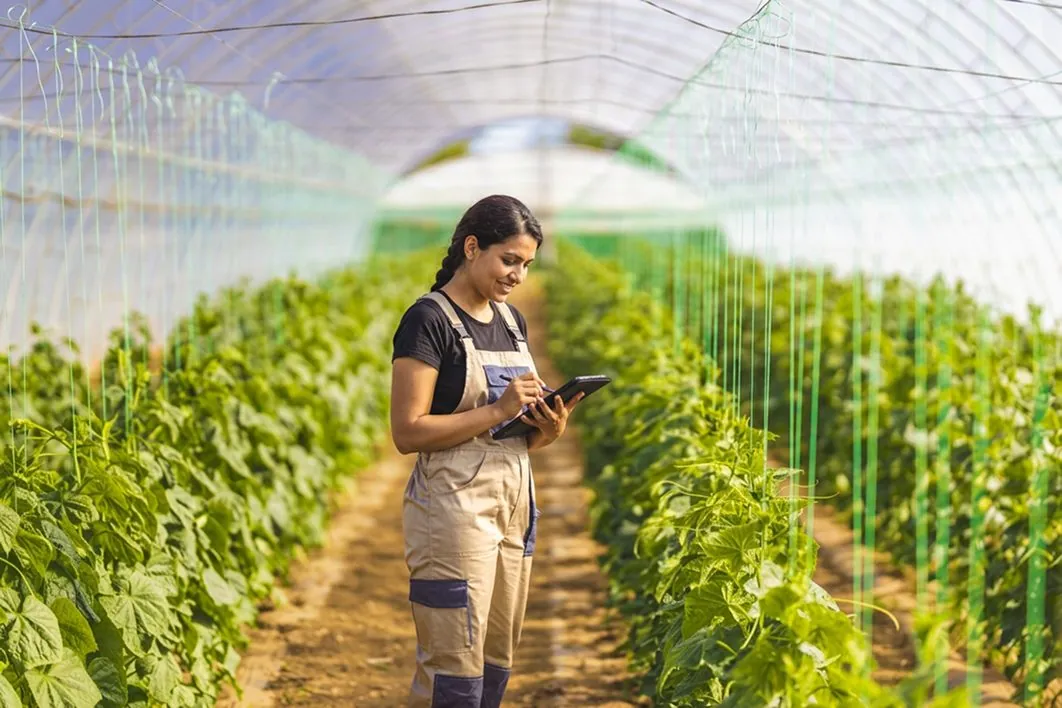 A young woman with a phone inside a polytunnel of flowering plants