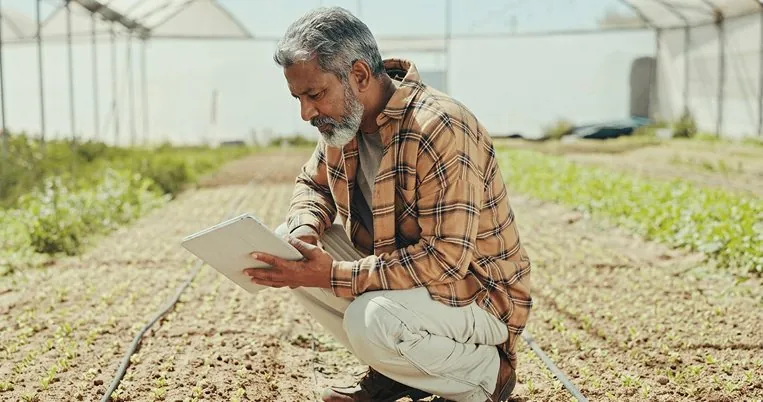 An older farmer crouching with a tablet in a nursery