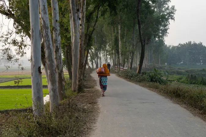 Someone walking a tree-lined path beside fields