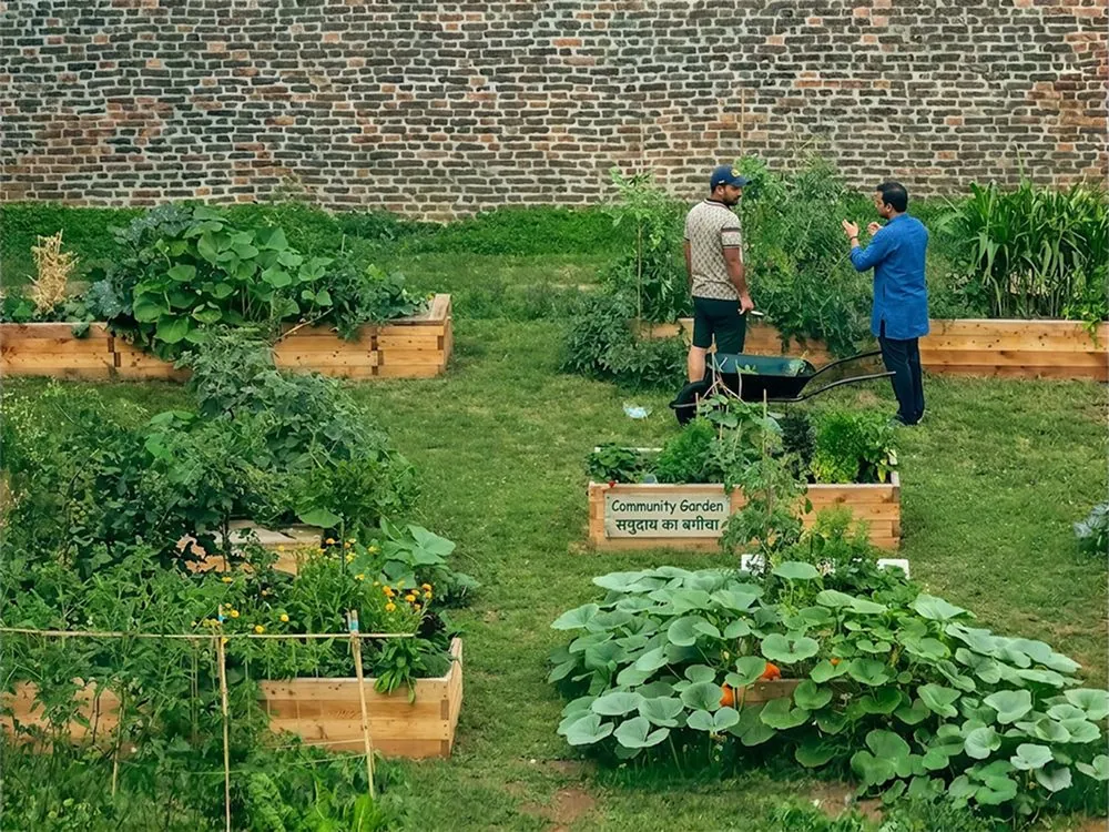Two people working in a community garden
