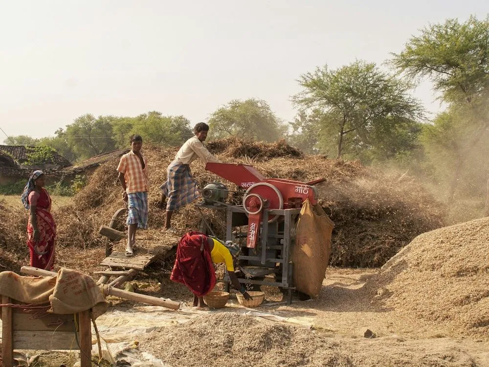 Farmers working a threshing heap