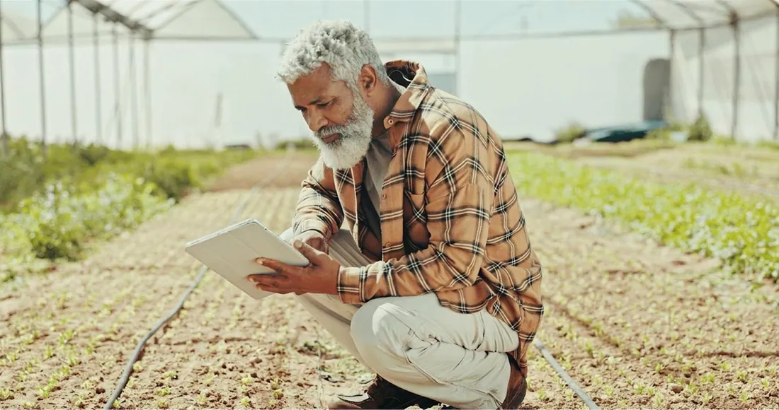 An older farmer with a tablet in a nursery