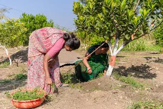 A woman watering a young tree