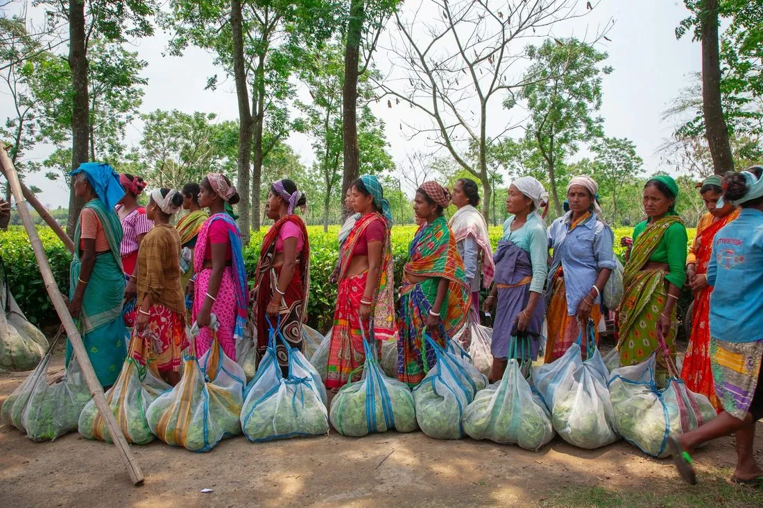 A line of women carrying sacks