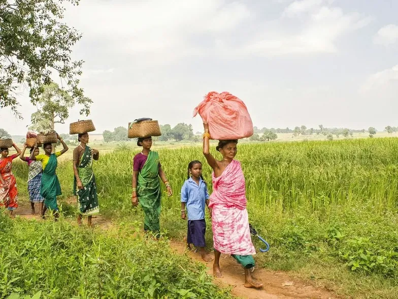 Women carrying bundles across a field