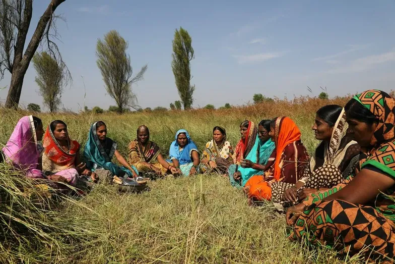 A group seated together in a field